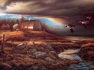 animal_nature (42)